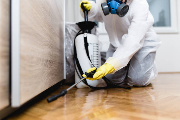 Best Pest Removal Services  in Madison, FL