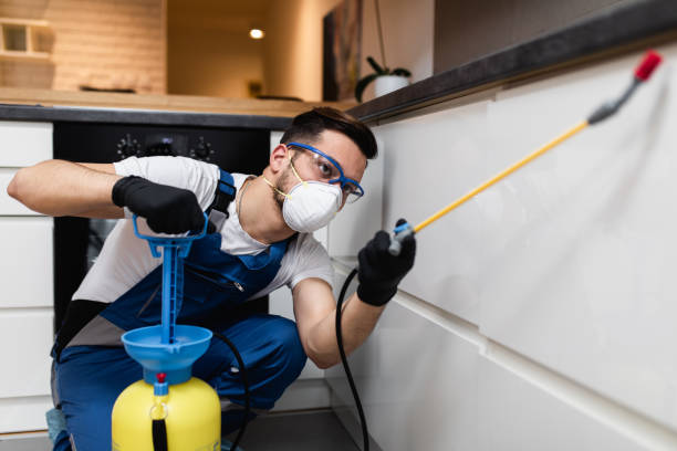 Best Pest Prevention Services  in Madison, FL