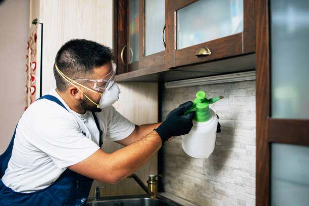 Best Bed Bug Extermination  in Madison, FL