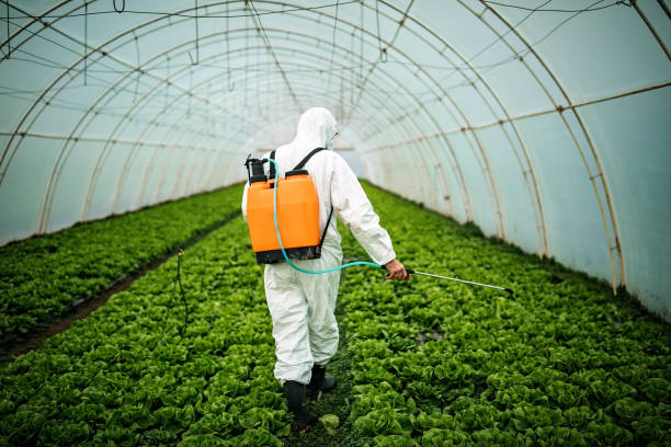 Best Affordable Pest Control Services  in Madison, FL