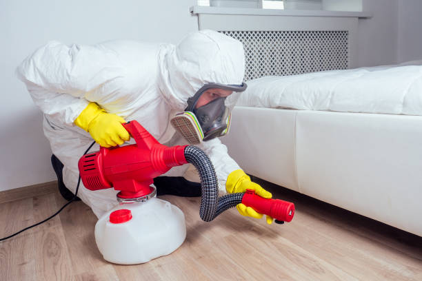 Best Pest Inspection Near Me  in Madison, FL