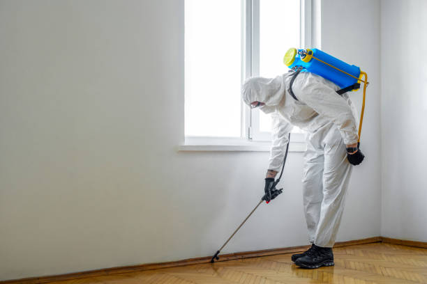 Best Best Pest Control Companies  in Madison, FL