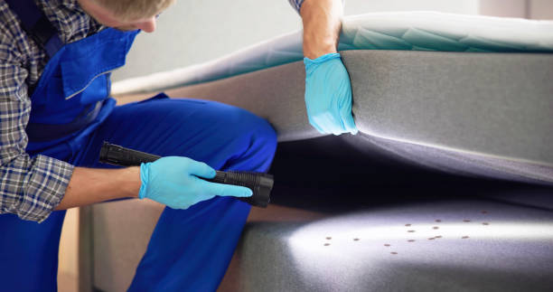 Best Cockroach Control Services  in Madison, FL