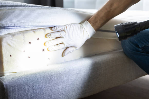 Best Exterminator Services  in Madison, FL