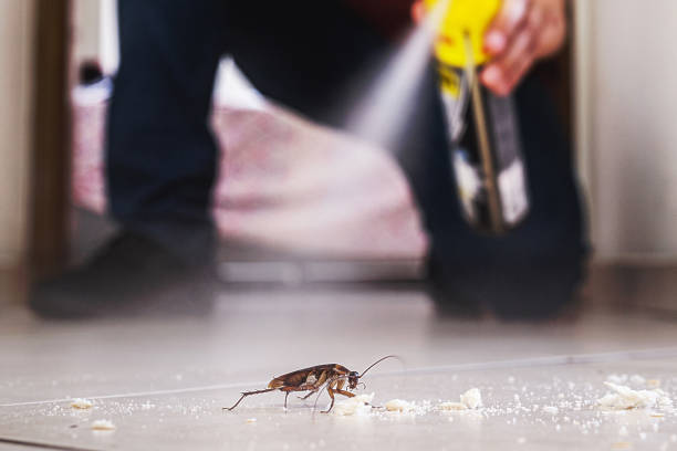 Best Termite Control Services  in Madison, FL