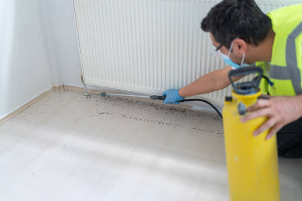 Best Mosquito Control Services  in Madison, FL