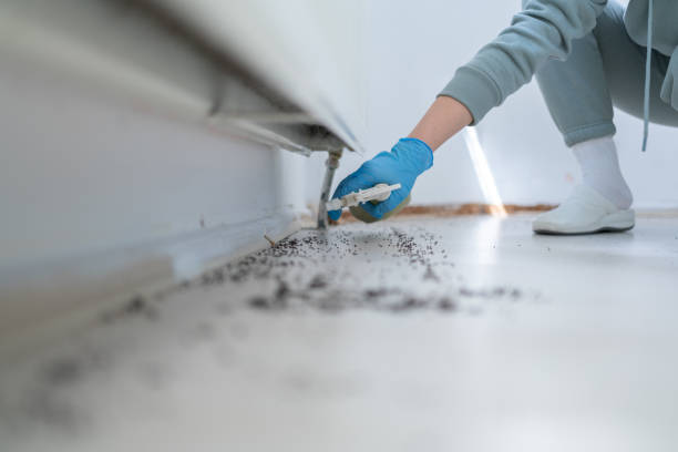 Best Affordable Pest Control Services  in Madison, FL